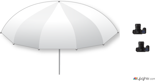 umbrella by Nadia Tamborska