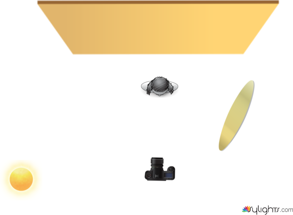 Moda - 4 by Bianca Velazco