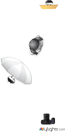 Set fire to the rain by Vicco