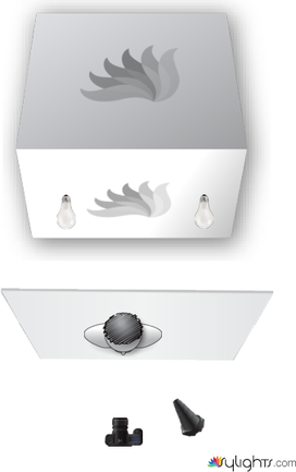 I can't sale this van by Rgs // Regis Matthey