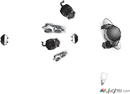 Dans les bras de Morphée... le chouchou by Rgs // Regis Matthey