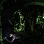 F8e4900a5fd579a9b37163a85cff6c9b_medium