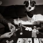 3075f0771c8955690361b9034b6f8b20_medium