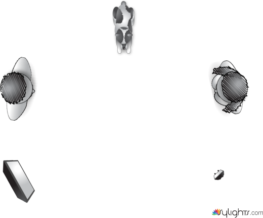 Vie de Chien by Rgs // Regis Matthey