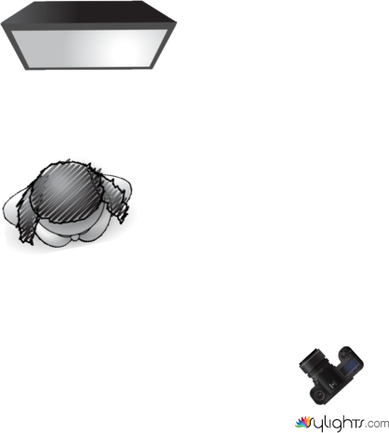 Francesca Solo by Nain Dziyauddin