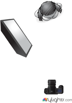 Main Light by Westcott Lighting