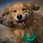 7414e14b94e08cd191095f7cb63cb9f8_medium