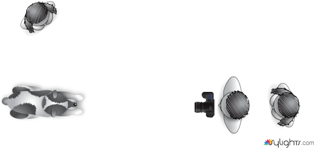 Pet Photography Positions by Keithibsen