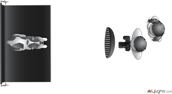 Low key Liza Portrait by Keithibsen