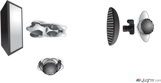 Hi Key Portrait Liza by Keithibsen