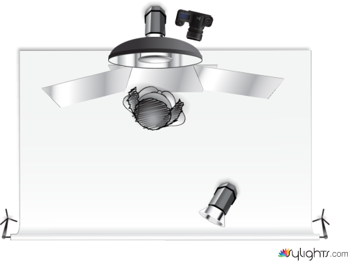 Beauty Laurence by Keithibsen