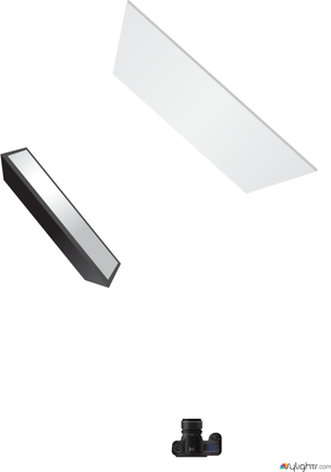 Lou sur blanc by Guest User