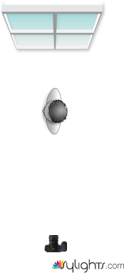 Silhouette (Window Behind You) by Guest User