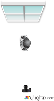 Silhouette (Window Behind You) by Guest User