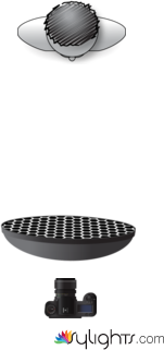 Beauty by Guest User