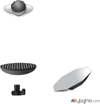 Beauty by Guest User