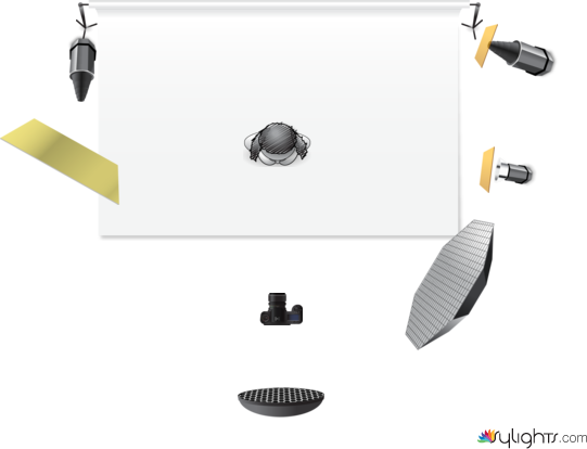 daisy1 by Guest User