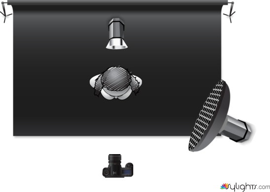 rembrandt by Guest User