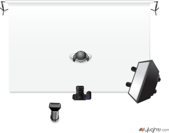 REMBRANT by Guest User