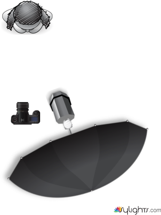 Indossato by Guest User