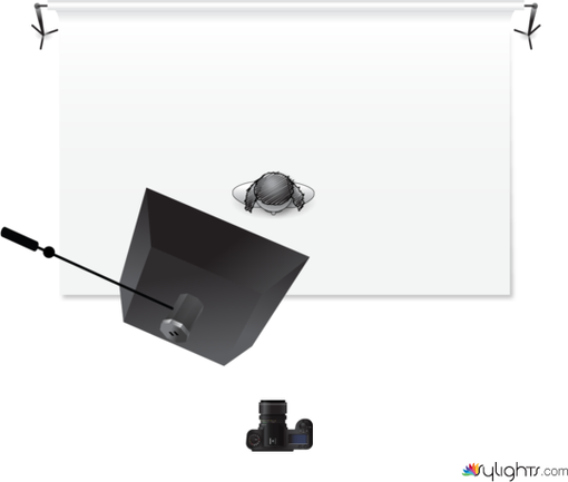 Single Light by Guest User