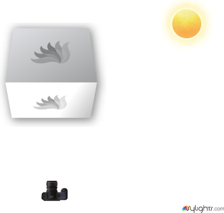 ARCHITECTURE by Guest User