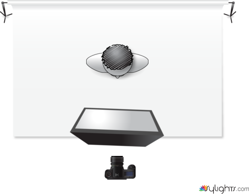 butterfly by Guest User