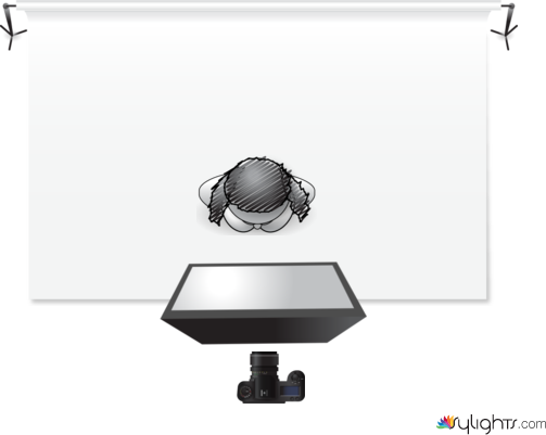 Butterfly by Guest User