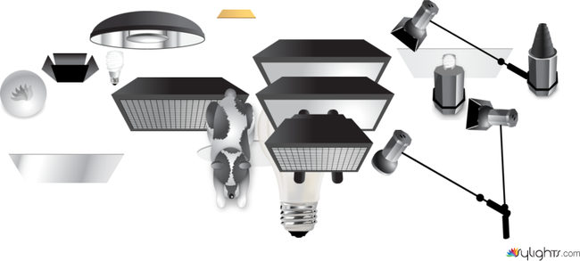 planta 1 by Guest User