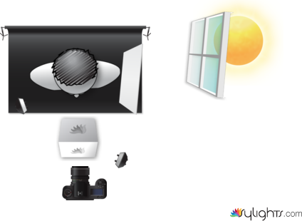 phoenix gray  by Guest User