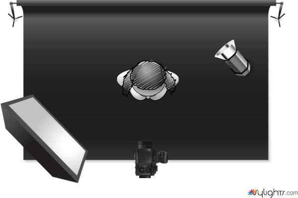 ciromedia  by Guest User