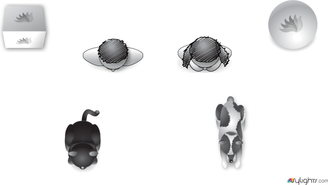 subjects by Guest User