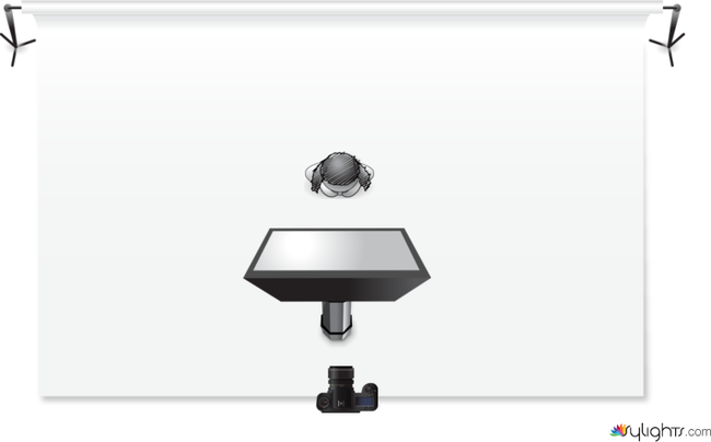 pugile teresa by Guest User