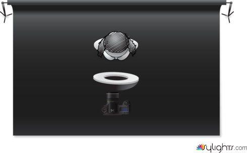 butterfly by Guest User