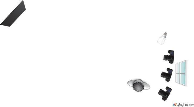 Secuencia 3 El Huésped by Guest User