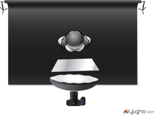 butterfly  by Guest User