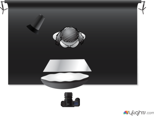 butterfly  by Guest User