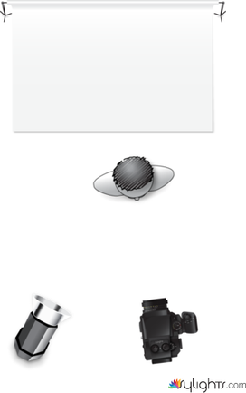 Shoot Through Assignment by Guest User