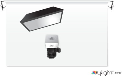 conchiglia 1 by Guest User