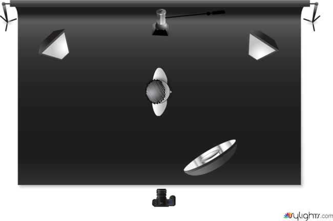 Pinna - R L by Guest User