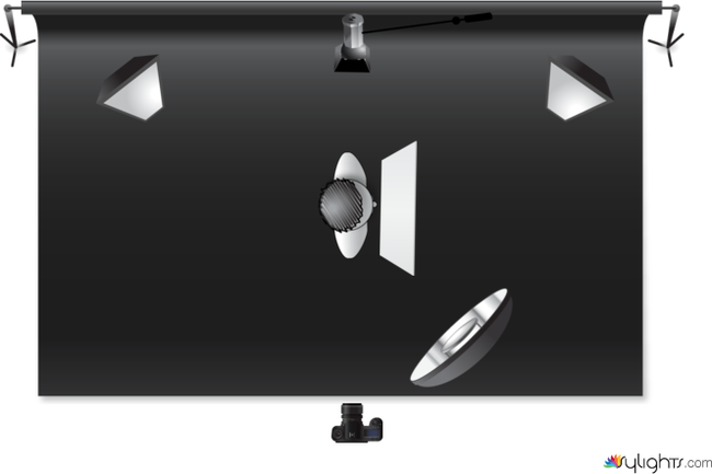 Pinna - R L by Guest User