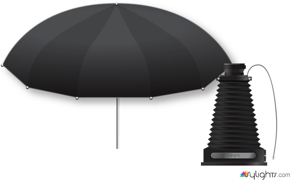 szxzcz by Guest User