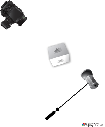 Bodegó perfum 1 nocturn by Guest User