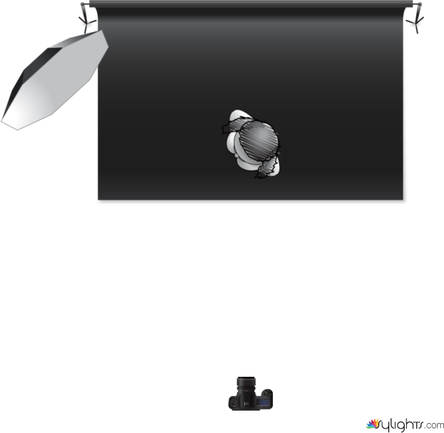 Primer Plano perfilar_001 by Guest User