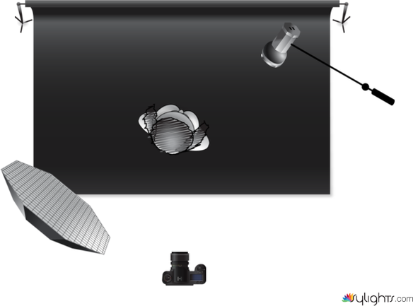 espalda by Guest User