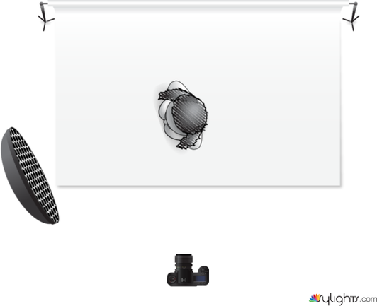 baile 1 by Guest User