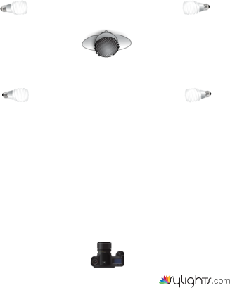 fluorescente by Guest User