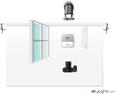 20260224 by Guest User