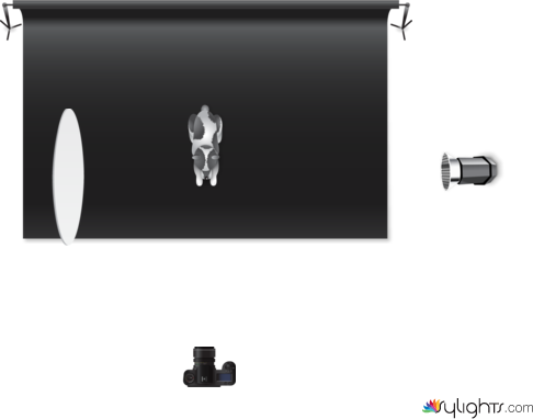 Lateral by Guest User