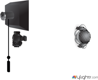 Esquema de Mariposa: by Guest User